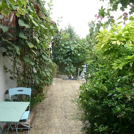 Les Iris Crecy-la-Chapelle