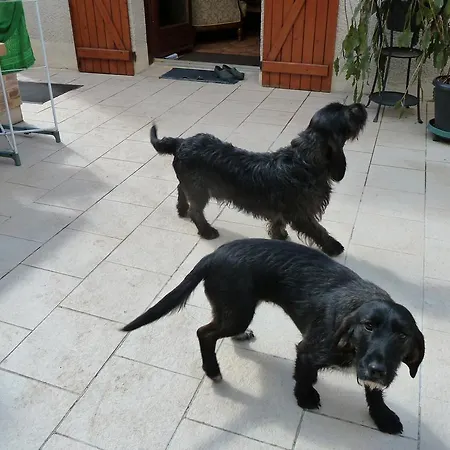 Les Iris Dom wakacyjny