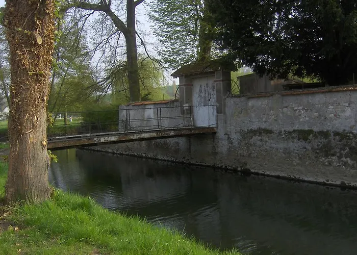 Les Iris Crecy-la-Chapelle